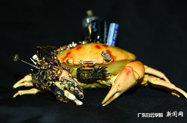 参展作品欣赏.jpg600.jpg