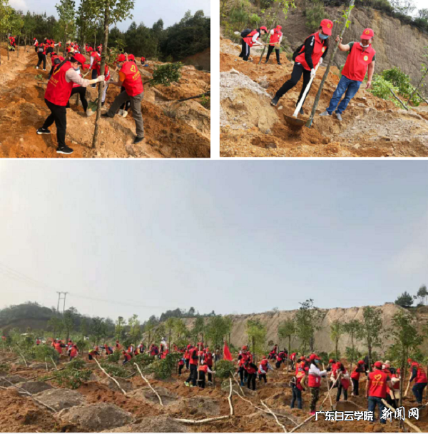 学生在家乡参加义务植树劳动实践.png