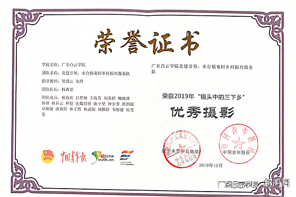 2019年镜头中的三下乡优秀摄像奖.png