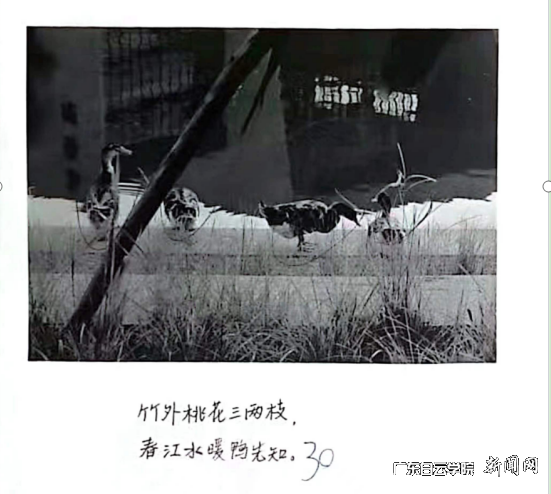 图片 3.png