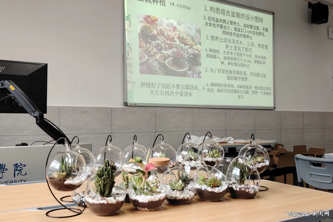 图片 3.png