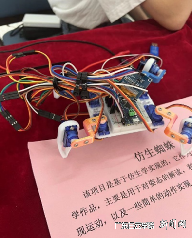 图片 6.png