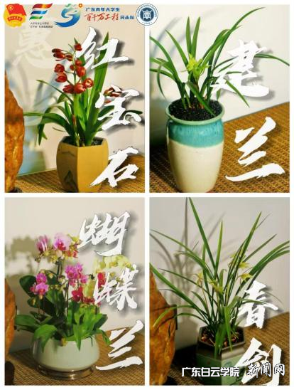 图片 4.png 图片 4.png